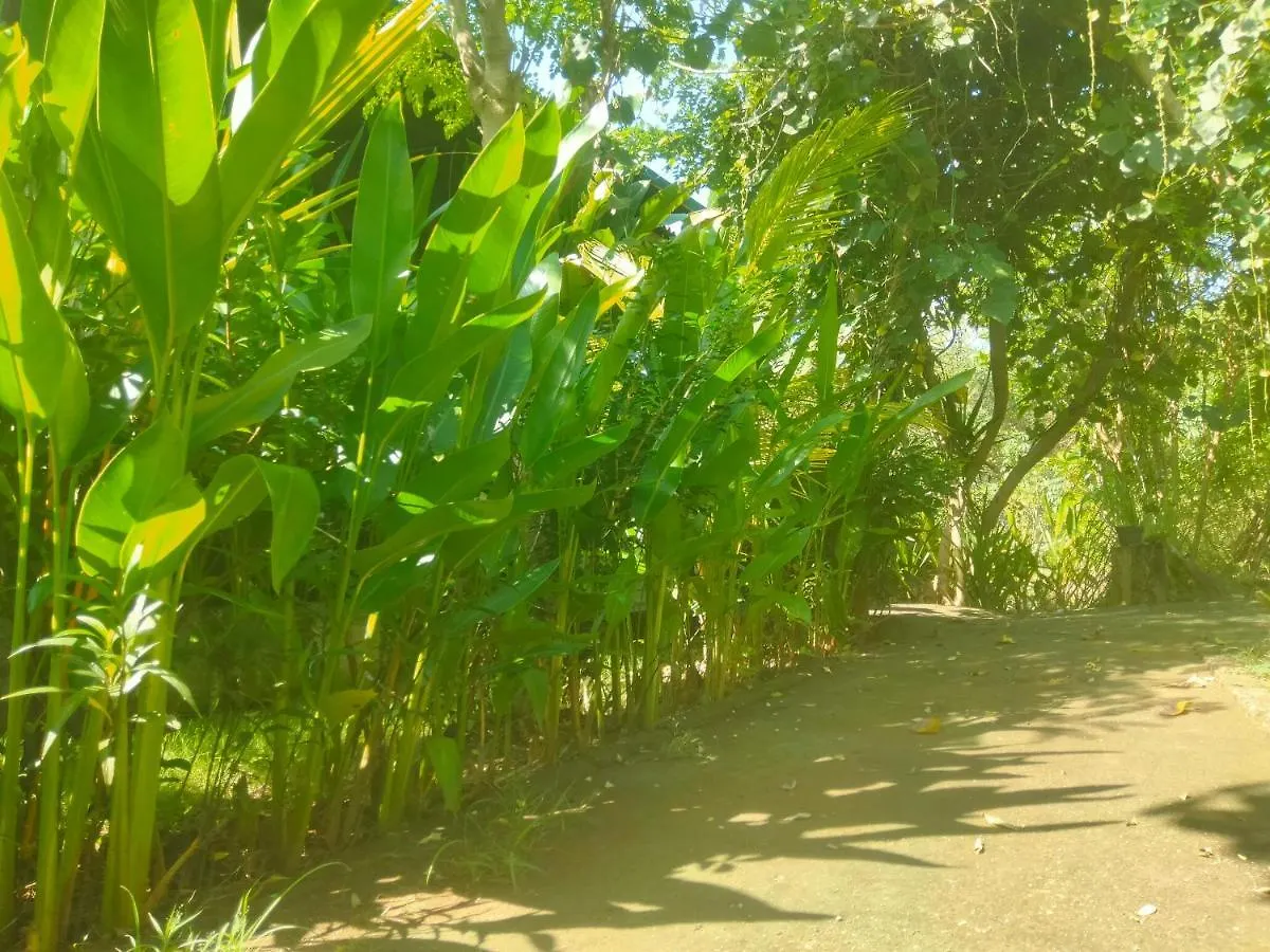Pier26 Bali Homestay Nusa Dua