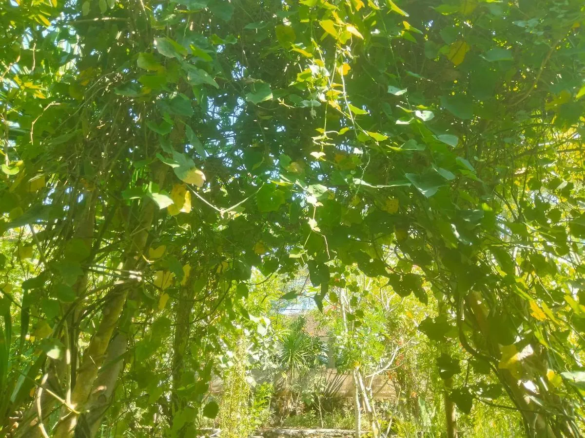 Pier26 Bali Homestay Nusa Dua  Indonesia